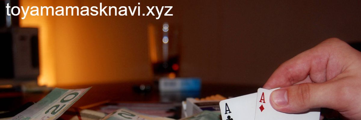 toyamamasknavi.xyz